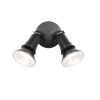 Comet 2 Light Exterior Floodlight - Lights Fans Action